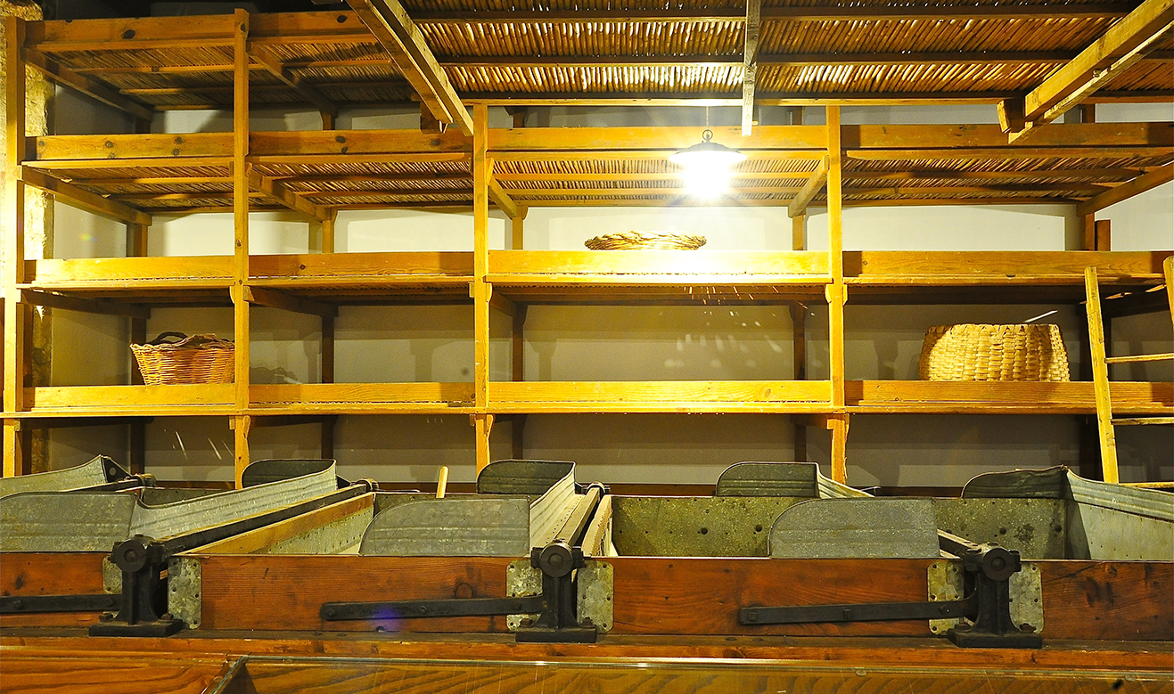 seta6